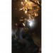   Tomb Raider [PS3]