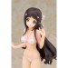 Kono naka ni hitori, imouto ga iru ! Tsuruma konoe swimsuit ver