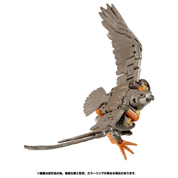 Transformers Kingdom KD-09 Airazor [Takara Tomy]