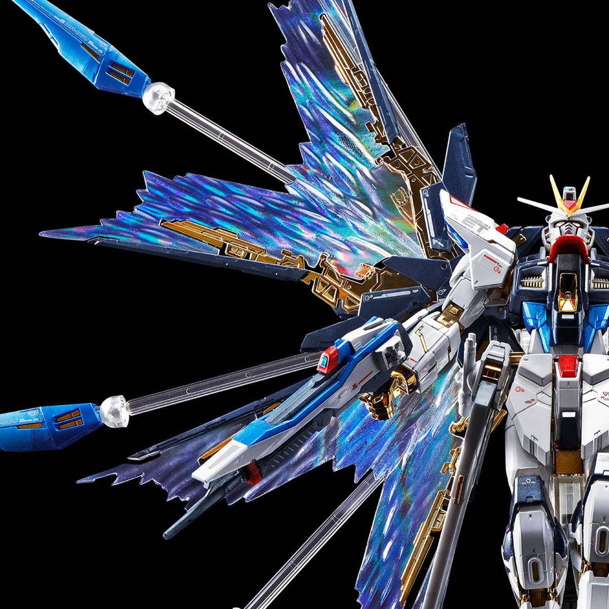 RG 1/144 Expansion effect unit for Strike Freedom Gundam "Wings of Sky" Limited Edition [Bandai]