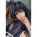 High School DxD - Himejima Akeno
