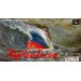 SOS - Septentrion [SFC - Used Good Condition]