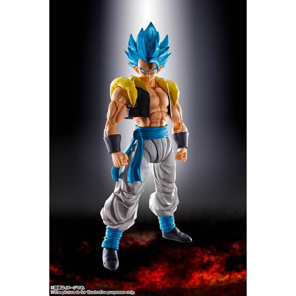 Dragon Ball Figures [Dragon Ball Z: Budokai] Gogeta Blue