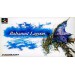 Bahamut Lagoon [SFC - Used Good Condition]