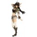 Shining Wind - Xecty Ein Regular Ver [Kotobukiya]