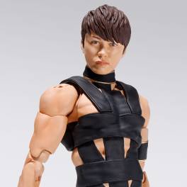 S.H.FIGUARTS: T.M.Revolution - Nishikawa Takanori (HOT LIMIT