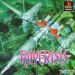 RayCrisis [PS1 - occasion BE]