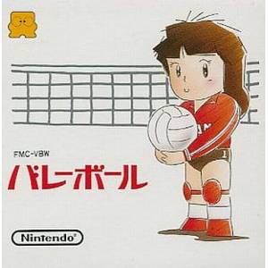 Volleyball [FDS - Used Good Condition]