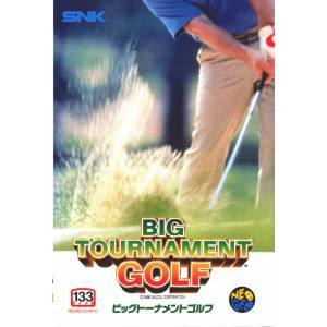 Big Tournament Golf / Neo Turf Masters [NG AES - Used Good Condition]
