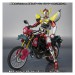 Kamen Rider Gaim Rose Attacker - Edition Limitée [SH Figuarts]