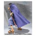   One Piece Fujitora Issho - Limited Edition [Figuarts Zero]