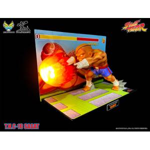 Street Fighter: T.N.C-10- Sagat [Big Boys Toys]
