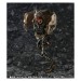   Kamen Rider Shin - Edition Limitée [S.I.C. ]
