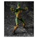   Kamen Rider Shin - Edition Limitée [S.I.C. ]