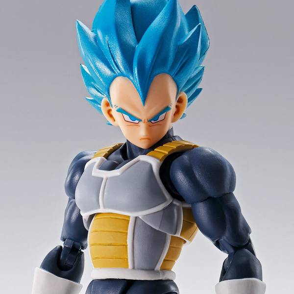 Dragon Ball Super Poster Vegeta Blue and Goku Blue with Broly