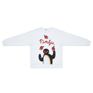 Trainer: Pingu [GoodSmile Moment]