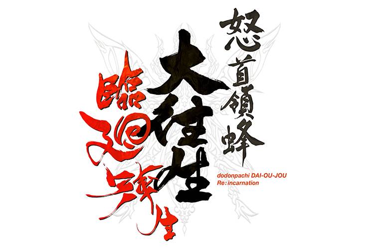 DoDonPachi Blissful Death Jeu Re Incarnation - Version Nintendo Switch Japonaise (NTSC-J) - Neuf Sous Blister - Édité Par M2 Jeu Switch Dodonpachi Blissful Death