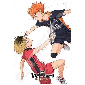 Haikyuu!! - Decisive Battle at the Garbage Dump: Jigsaw Puzzle (300 Pieces) [Ensky]