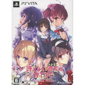 Saenai Heroine no Sodatekata - Blessing Flowers (Limited Edition) [PSV - Used Good Condition]