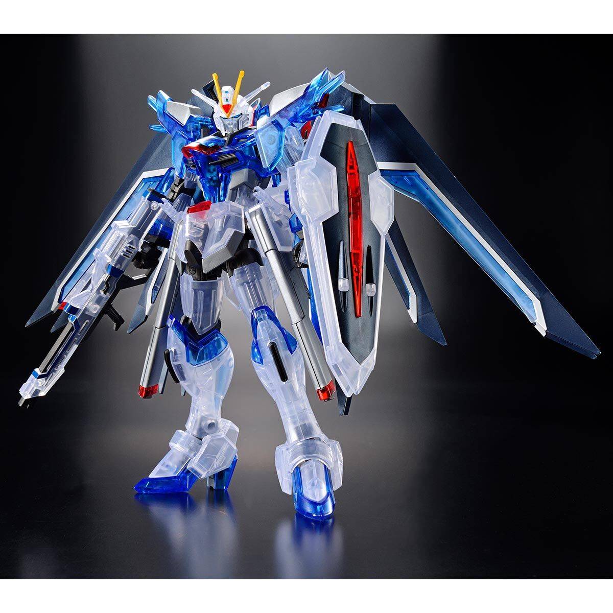 HG 1/144: Mobile Suit Gundam SEED Freedom - STTS-909 Rising Freedom ...