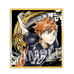 Haikyuu!!: Sparkling Shikishi - Shoyo Hinata [Proof]