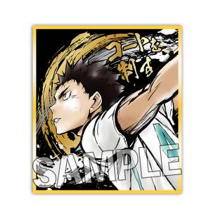 Haikyuu!!: Sparkling Shikishi - Hajime Iwaizumi [Proof]
