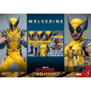 Movie Masterpiece: Deadpool & Wolverine - Wolverine 1/6 [Hot Toys]