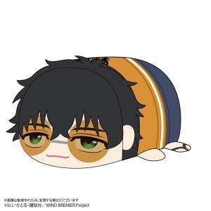 WIND BREAKER: Mochi Mochi Mascot Plush Toy Collection (Box