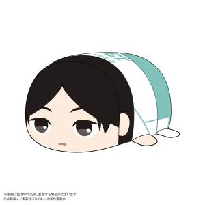 Haikyu!!: Potekoro Mascot M Size - Hide Kunimi [Max Limited]