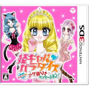 Hime Girl Paradise - Mechikawa! Age Sakari Sensation! [3DS - Used Good Condition]