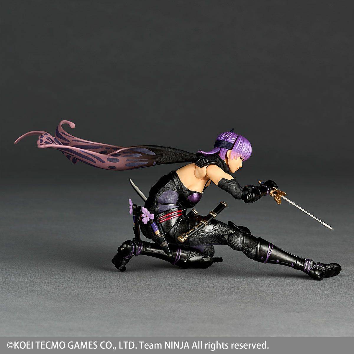 Amazing Yamaguchi/Revoltech: Ninja Gaiden III - Ayane