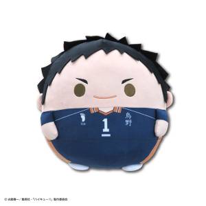 Haikyu!!: Fuwa Kororin BIG Vol.3 - Daichi Sawamura [Max Limited]