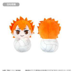 Haikyu!!: Pyokonui Plush - Shoyo Hinata [Tapioca]