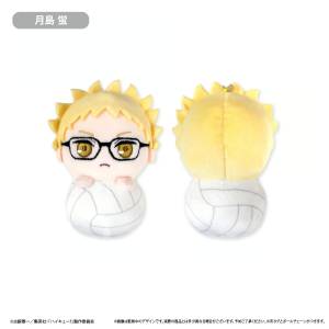 Haikyu!!: Pyokonui Plush - Kei Tsukishima [Tapioca]