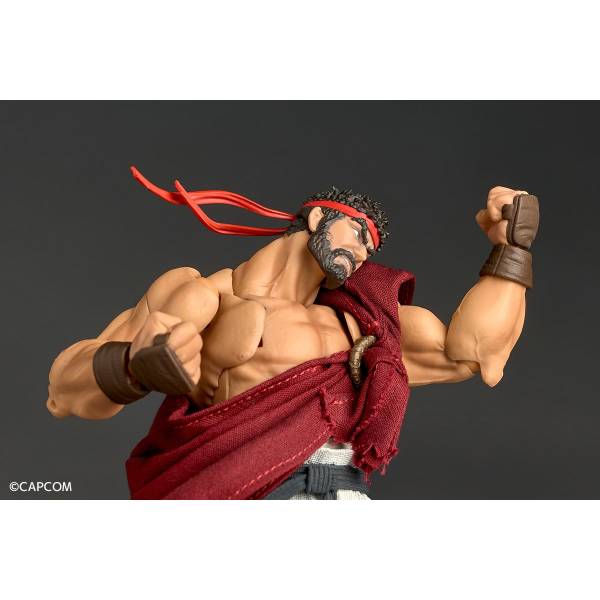 Ryu！ 51s7KHSSlJL._UF350,350_QL50_.jpg