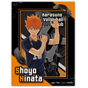 Haikyuu!!: Paper Shadow Art Mini - Shoyo Hinata [Ensky]