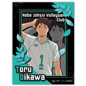 Haikyuu!!: Paper Shadow Art Mini - Toru Oikawa [Ensky]