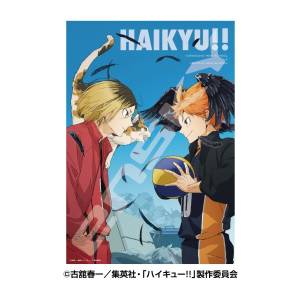 Jigsaw Puzzle: Haikyuu!! - To a match without "one more time" (1000 Pieces / Premium Foil) [Ensky]