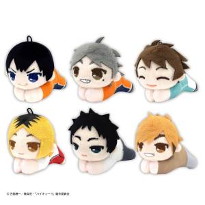 Haikyuu!!: Hug Character Vol.6 - Plush Mascot Collection (6 Packs Box) [Max Limited]