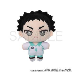 Haikyuu!!: NuiPal - Hajime Iwaizumi [Movic]