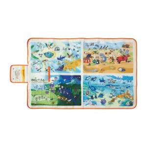Pokémon: Pokémon Ecology Encyclopedia - Picnic Sheet (Limited Edition) [The Pokémon Company]
