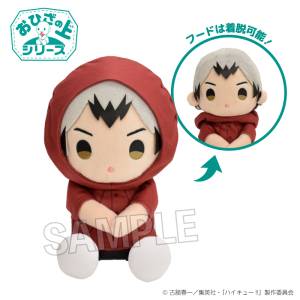 Haikyuu!!: On Your Lap Plush Toy - Shinsuke Kita (Rainy Day Ver.) [PROOF]