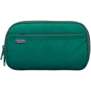 PSP 3000 Pouch Official Sony (Spirited Green) [Used / Loose]