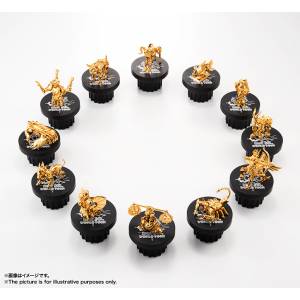 SAINT CLOTH MYTH APPENDIX GOLD CLOTH OBJECT WORLD TOUR Limited Set [Bandai]