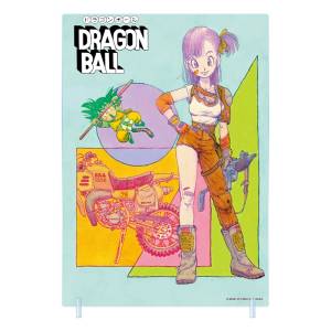 Dragon Ball: Foil Acrylic Panel Art - Son Goku (JCS Exclusive