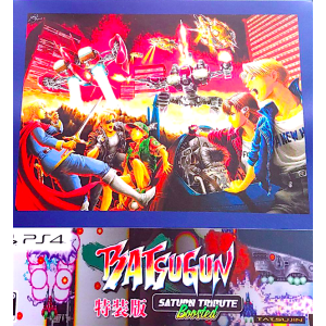 Nintendo Switch Batsugun Saturn Tribute a stimulé le fonctionnaire jap - ToysOne