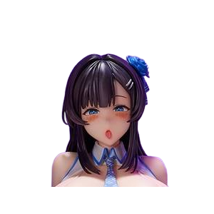 Character's Selection: Anna Shinonome 1/6 - Illustrated By Shimashima - Tapestry Set (Limited + Bonus) [Hotvenus / Native]