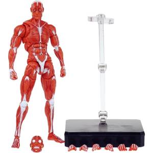 Action Figure: Human Muscle Model - Red Ver. 1/12 [KeepGoing Studio]