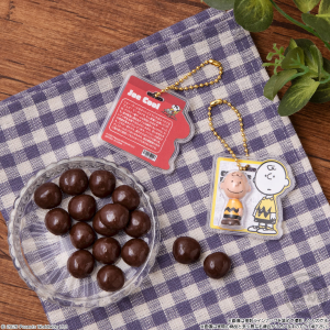Shokugan: Peanuts Charm & Chocolate Snack (12 Packs Box) [Bandai]