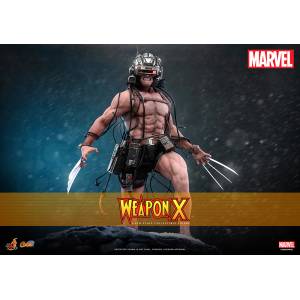 MARVEL X-Men: Wolverine Weapon X 1/6 - Comic Masterpiece [Hot Toys